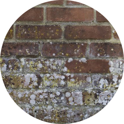 Humidité des murs